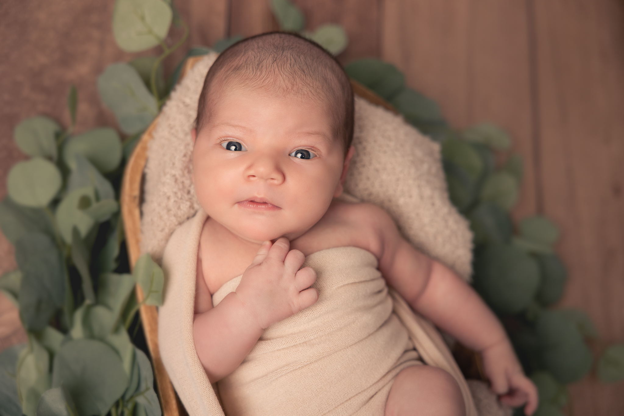 photo d'un bébé éveillé lors d'un séance photo en studio dans un panier