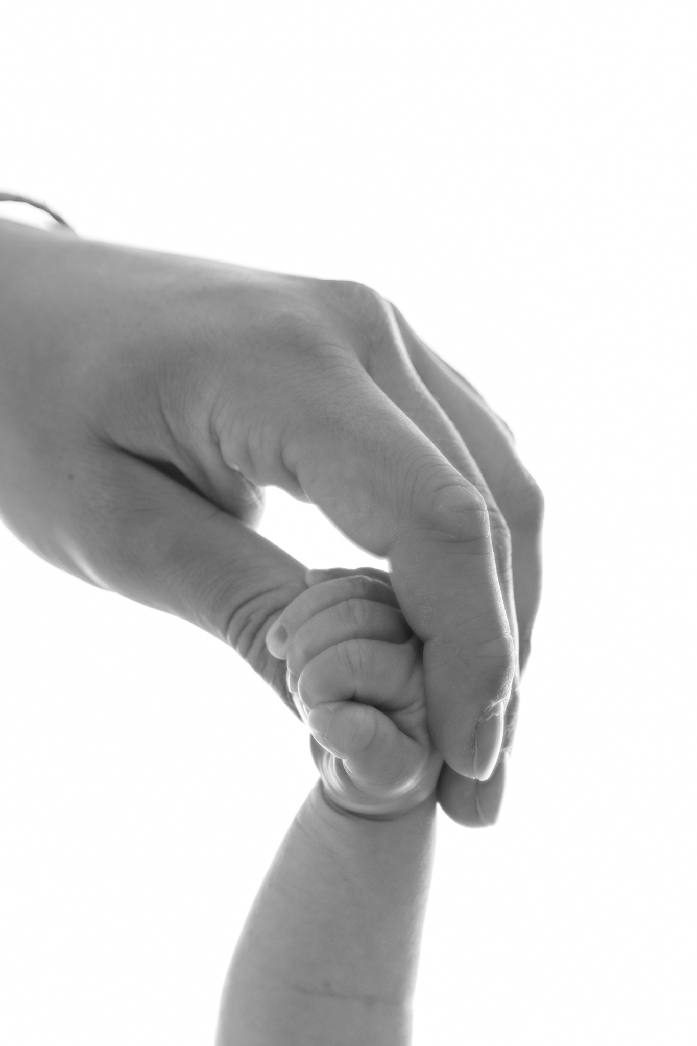photo de mains d'un papa et son bébé lors d'une séance photo en studio